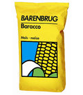 maisbarenbrug