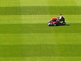 Maintenance mowing