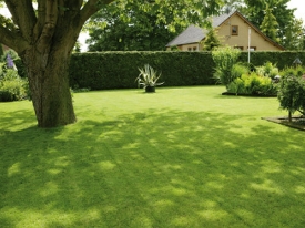 Lawn Header