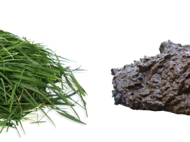 header nutrifiber gras en poep