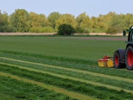 header Maak van uw laatste snede een topkuil