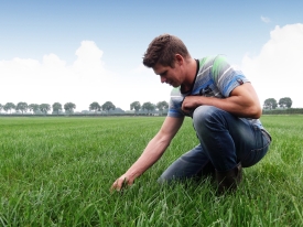 Nutrifibre Structuur Vital