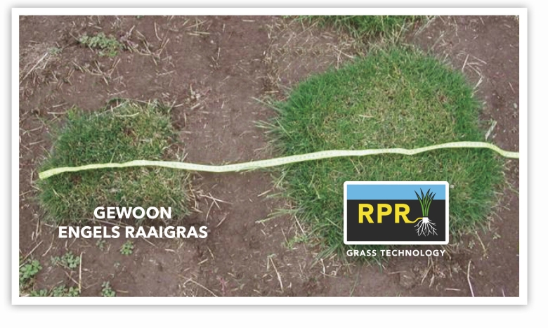 RPR dicht grasmat 2024