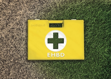 Visual_link_EHBD-grass-900.jpg