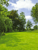 Mooie grasmat