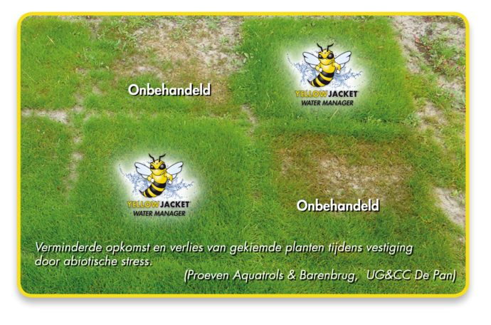 yellow jacket
