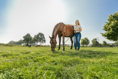 foto_horse_master_aniek