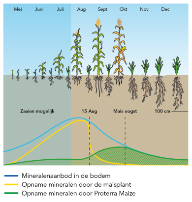 Visual_uitspoeling_mineralen_proterra_maize.png
