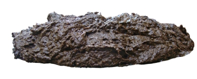 Header_NutriFibre_1900x500.jpg