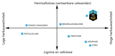 graph_structuurgras_nl-edit_02.jpg