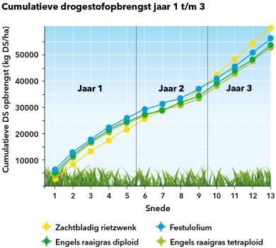 Cumulatieve drogestofopbrengst jaar 1 t/m 3