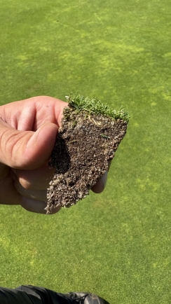 image golf reportage Jeroen Brouwer