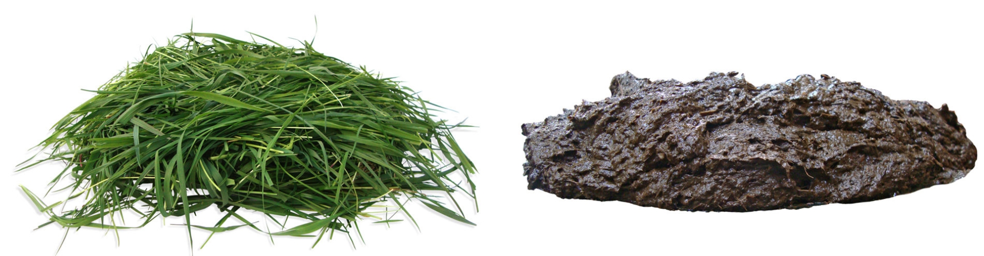 Header_NutriFibre_1900x500 (1).jpg