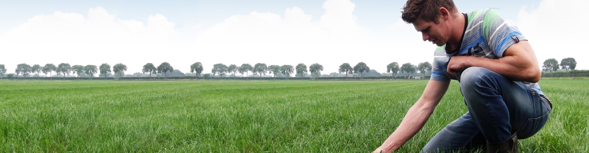 Nutrifibre Structuur Vital