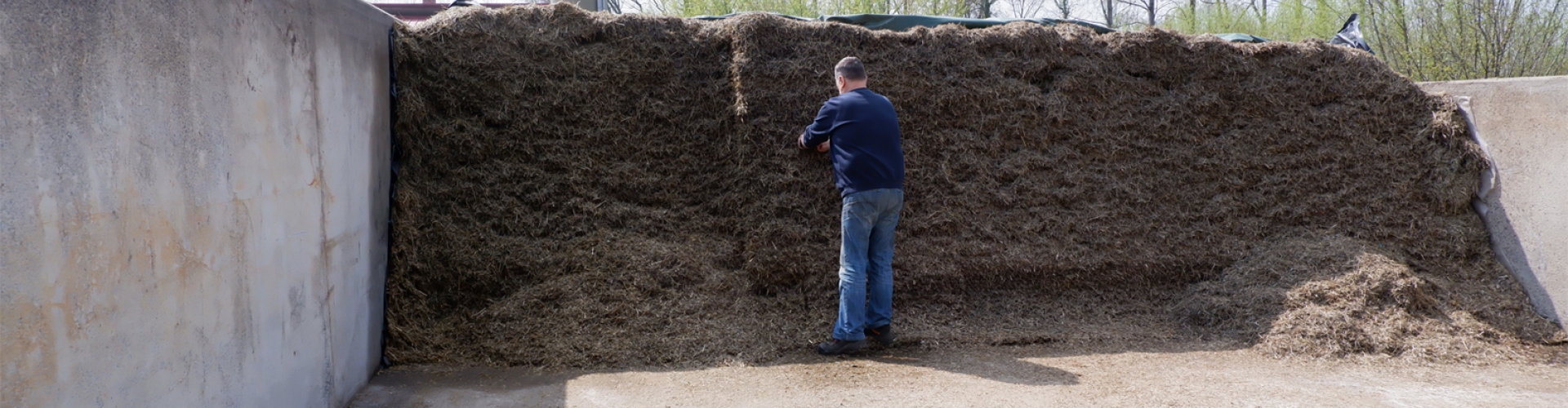 Omschakeling naar biologisch landbouwbedrijf
