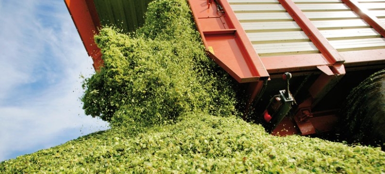 Large_Bonsilage_mais_HR.jpg