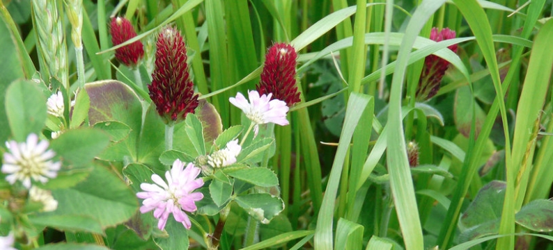 header_protaplus-edit.jpg