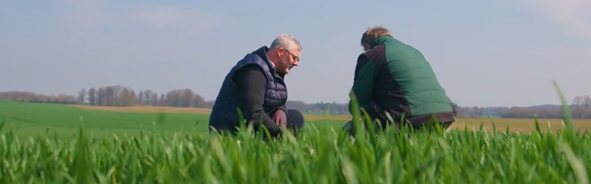 boncrop mannen