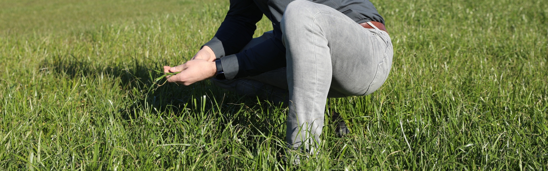Junior Technisch Adviseur Landbouw