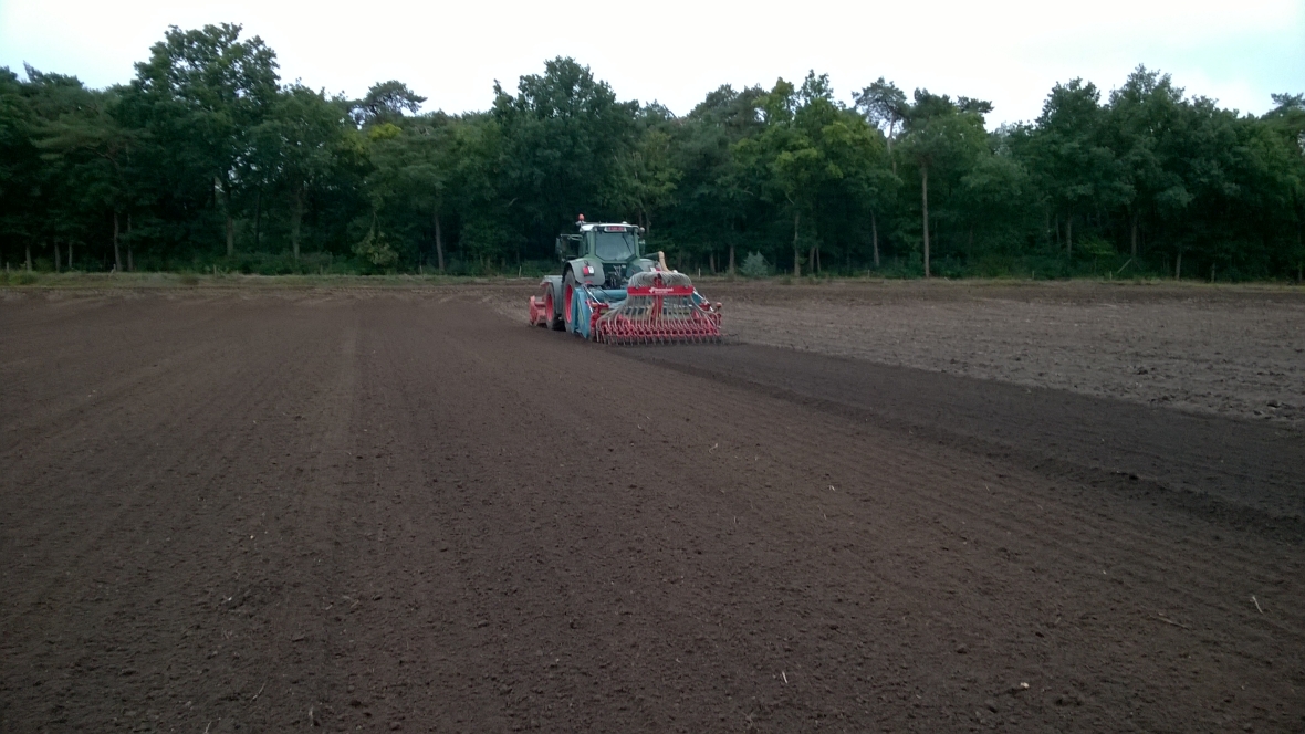 Sowing