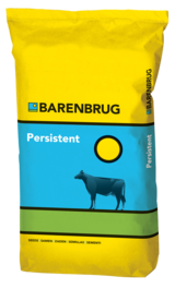 Packshot_Persistent_2022.png
